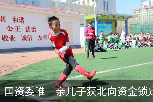 国资委唯一亲儿子获北向资金锁定，日赚28亿！控盘率竟超95%——憋不住了？